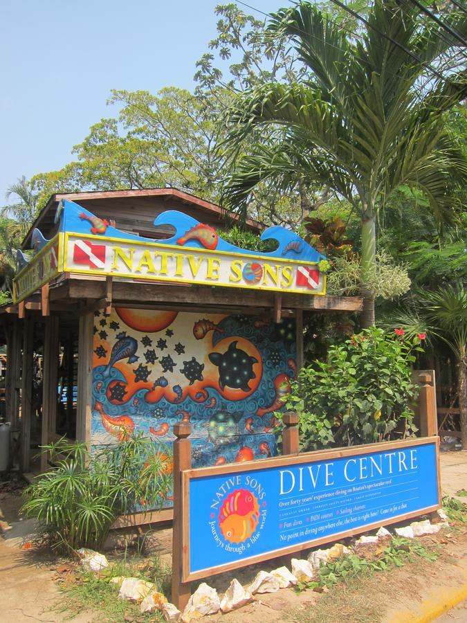 Hotel Chillies And Native Sons Diving West End Buitenkant foto
